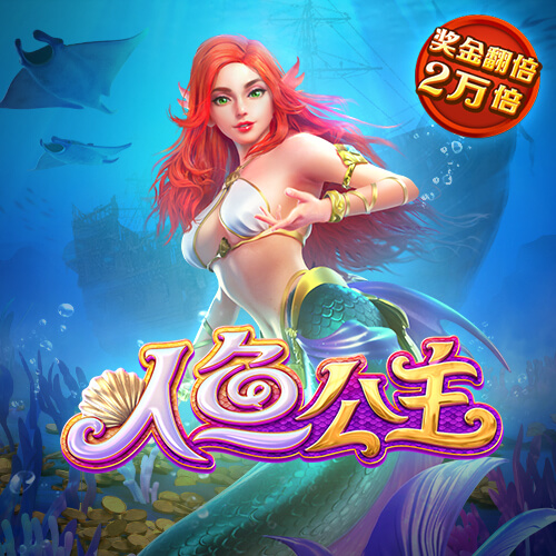 开云app