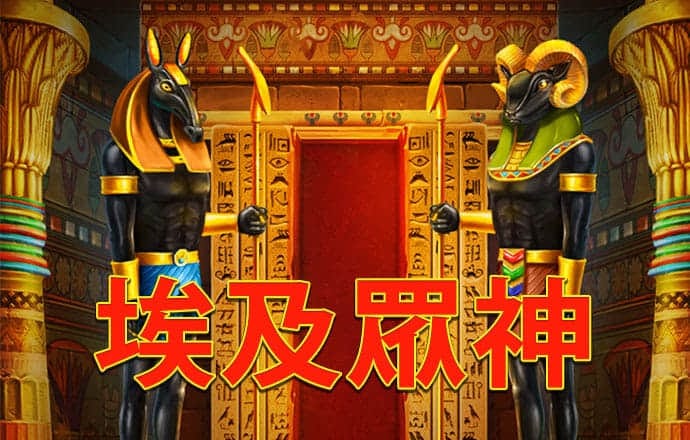 龙物网站永不失联